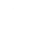 Emirates FA Cup Logo